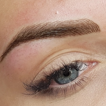 Microblading de cejas 6D 