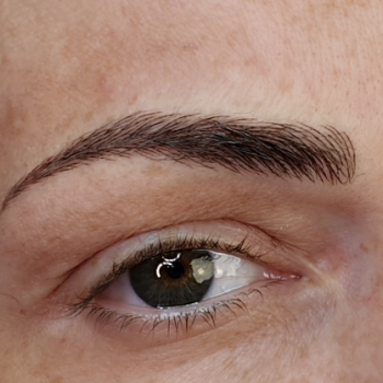 Microblading+shading combinación