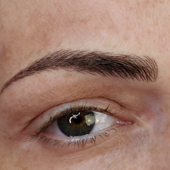 Microblading+shading combo