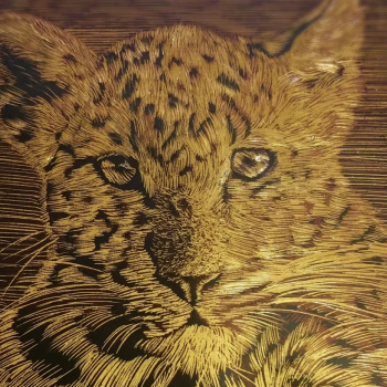 Artes de Rita Romo